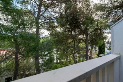 Priroda u blizini apartmana