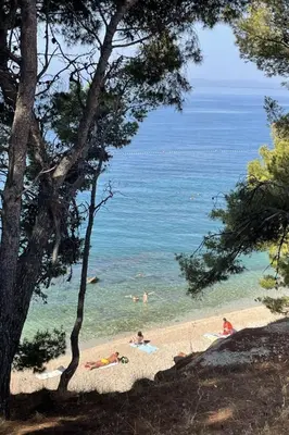 Priroda u blizini apartmana