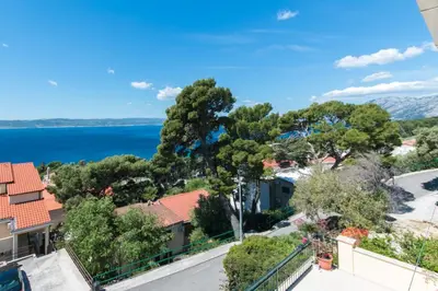 Priroda u blizini apartmana