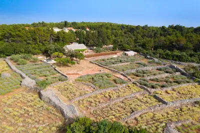 Tlocrt objekta Holiday house with a parking space Humac, Hvar - 8805