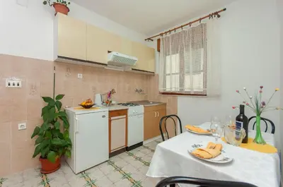 Kuhinja ili čajna kuhinja u objektu Apartments Franka