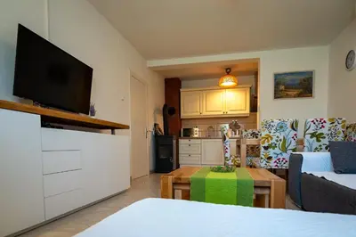 TV i/ili zabavni centar u objektu Apartments Kaja