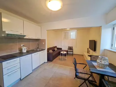 Kuhinja ili čajna kuhinja u objektu Apartments Ivanka