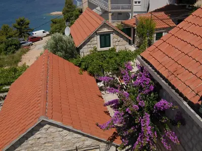 Priroda u blizini apartmana