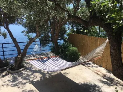 Priroda u blizini apartmana
