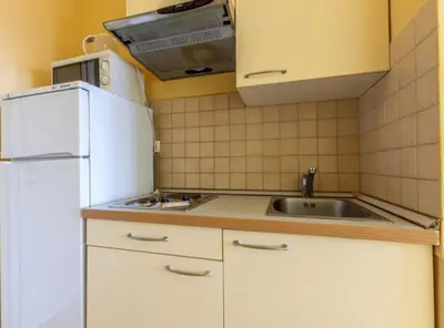 Kuhinja ili čajna kuhinja u objektu Apartments Radevenjić