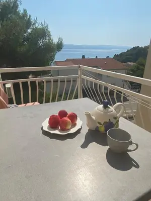 Balkon ili terasa u objektu Studio Apartments Ivo