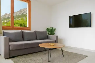 TV i/ili zabavni centar u objektu Apartments by the sea Brela - Makarska - 25095