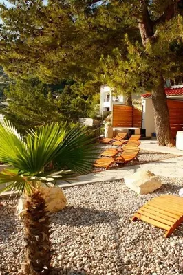 Vrt u objektu Apartments by the sea Brela, Makarska - 25110