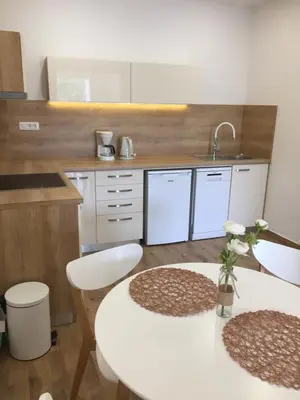 Kuhinja ili čajna kuhinja u objektu Apartments Antonia