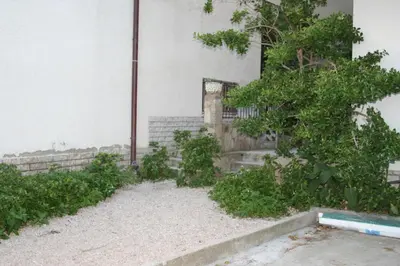 Vrt u objektu Apartment Stanici 1032b