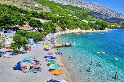 Priroda u blizini apartmana