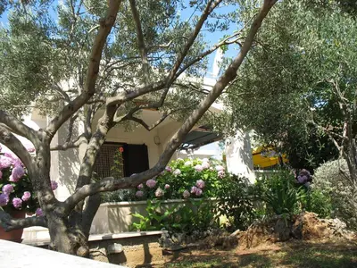 Vrt u objektu Holiday house with a parking space Selca, Brac - 11465