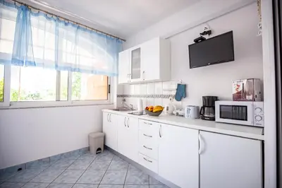 Kuhinja ili čajna kuhinja u objektu Apartments Ana Buratovic