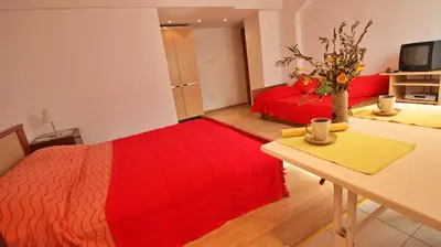 TV i/ili zabavni centar u objektu Apartments Slado
