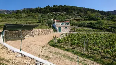 Pogled na planine ili pogled na planine iz vikendica