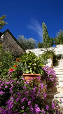 Vrt u objektu Villa More 3 Apartments A-10, A-11 and A-12 , 4-4-6 Beds