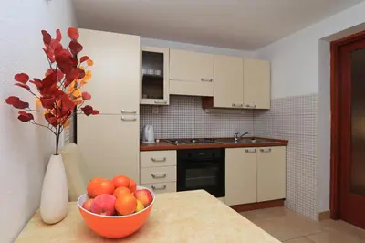 Kuhinja ili čajna kuhinja u objektu Apartments Andrijašević