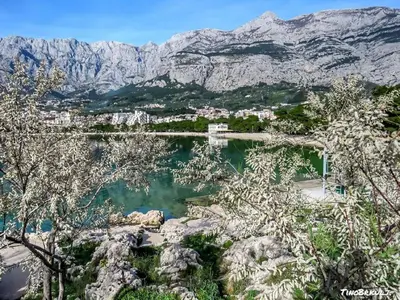 Priroda u blizini apartmana