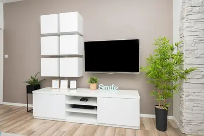 TV i/ili zabavni centar u objektu Luxury Apartments Nadalina Sea view