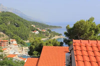Priroda u blizini apartmana