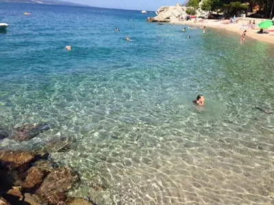 Priroda u blizini apartmana