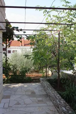 Vrt u objektu Apartments by the sea Sumartin, Brac - 5619