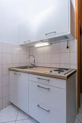 Kuhinja ili čajna kuhinja u objektu Apartment Pisak 5975d