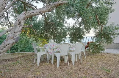Priroda u blizini apartmana