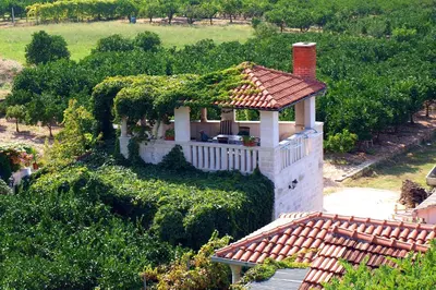 Vrt u objektu Holiday house with WiFi Postira, Brac - 701