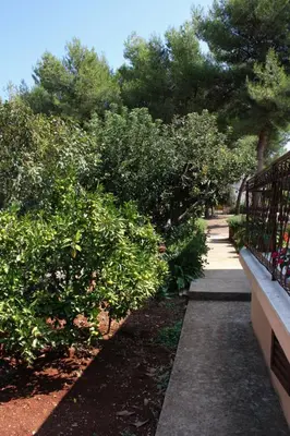 Vrt u objektu Apartments with a parking space Mirca, Brac - 728