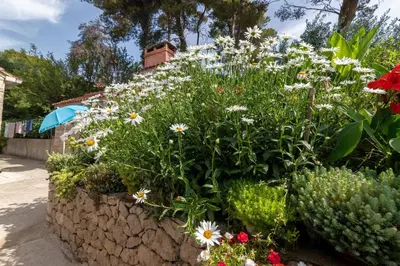 Vrt u objektu Apartments by the sea Sumartin, Brac - 758