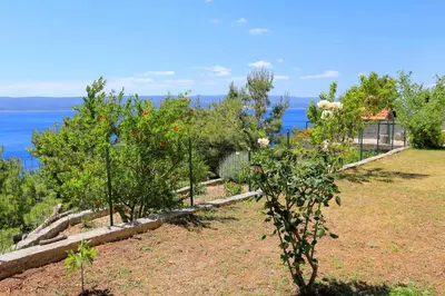 Priroda u blizini apartmana