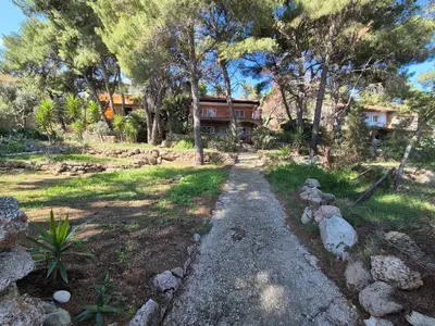 Vrt u objektu Apartment Zavala 8774b