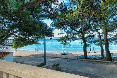 Priroda u blizini apartmana