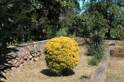 Vrt u objektu Apartments with parking space Stari Grad, Hvar - 8697