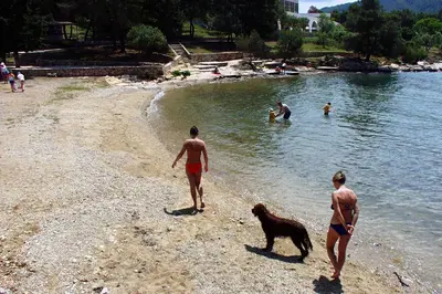 Tlocrt objekta Apartments with a parking space Stari Grad, Hvar - 8762