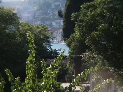 Priroda u blizini apartmana