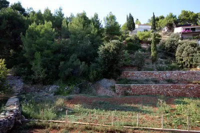 Vrt u objektu Apartments by the sea Basina, Hvar - 9673