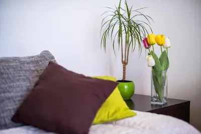 Tlocrt objekta Apartment Dominik