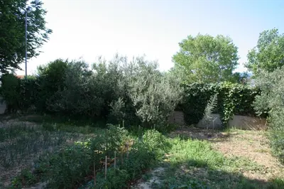 Priroda u blizini apartmana