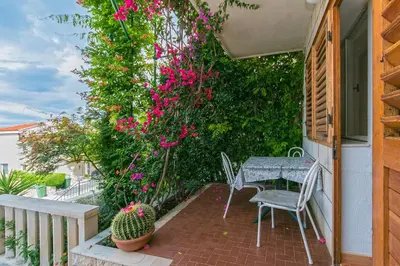 Balkon ili terasa u objektu Apartments and rooms by the sea Brela - Makarska - 2752