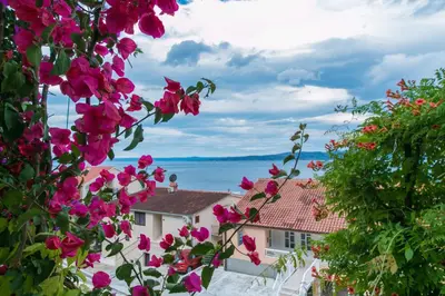 Priroda u blizini apartmana
