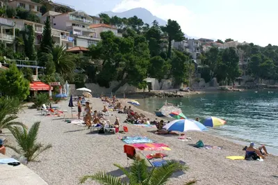 Priroda u blizini apartmana