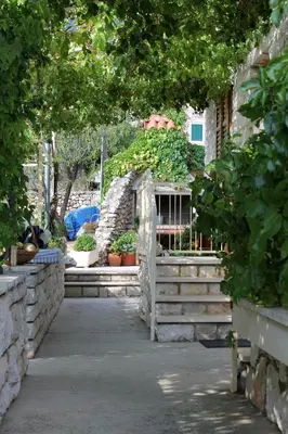 Vrt u objektu Apartments with parking space Bol - Brac - 2900