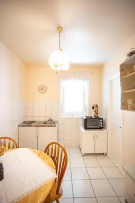 Kuhinja ili čajna kuhinja u objektu Apartments Mijajov Dvor