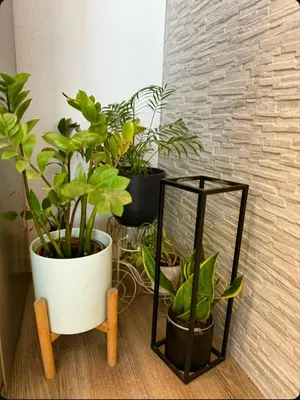 Tlocrt objekta Apartment Baćo