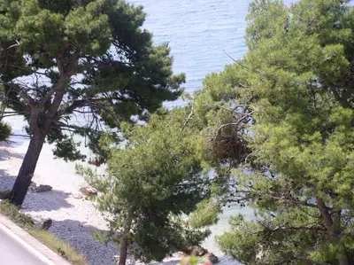 Priroda u blizini apartmana