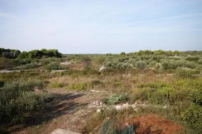 Priroda u blizini privatnih smještaja