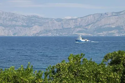 Priroda u blizini apartmana